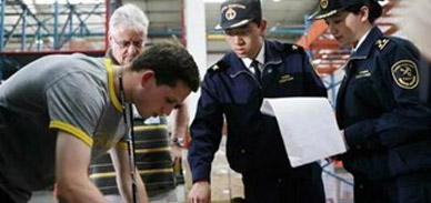 海外（IATA）清關(guān)實力雄厚