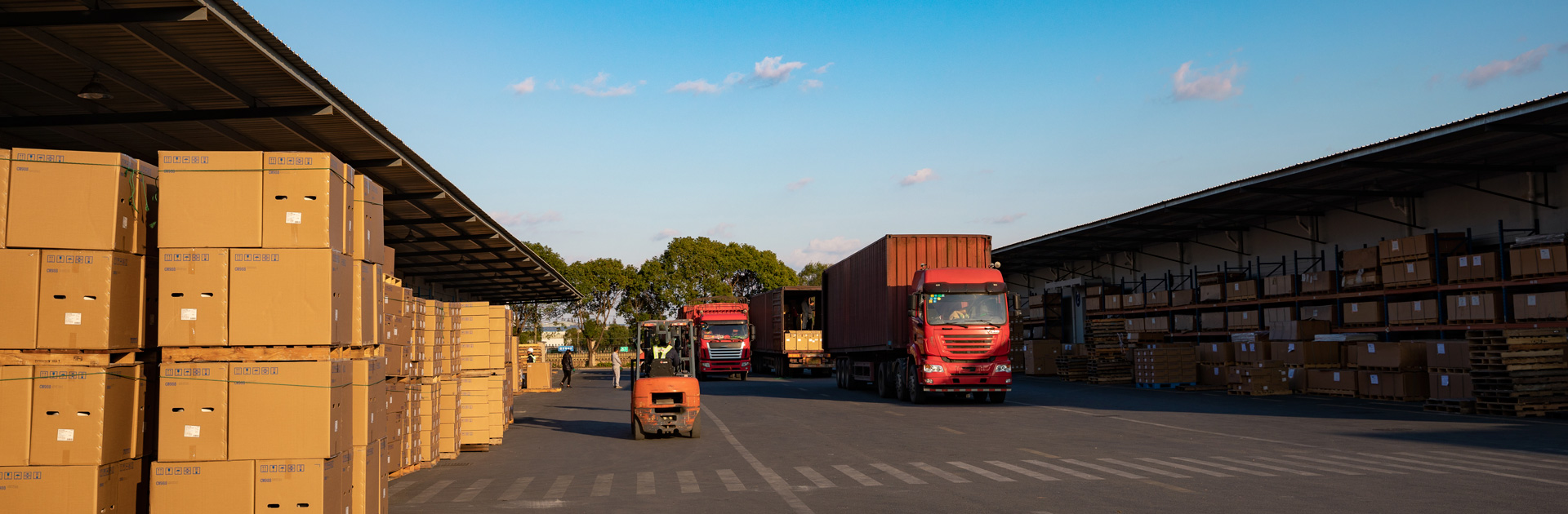行業(yè)動態(tài)